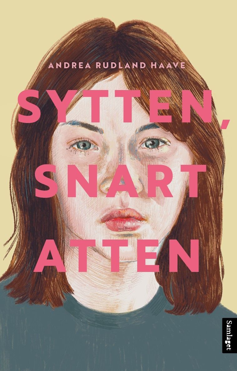 Sytten, snart atten : roman