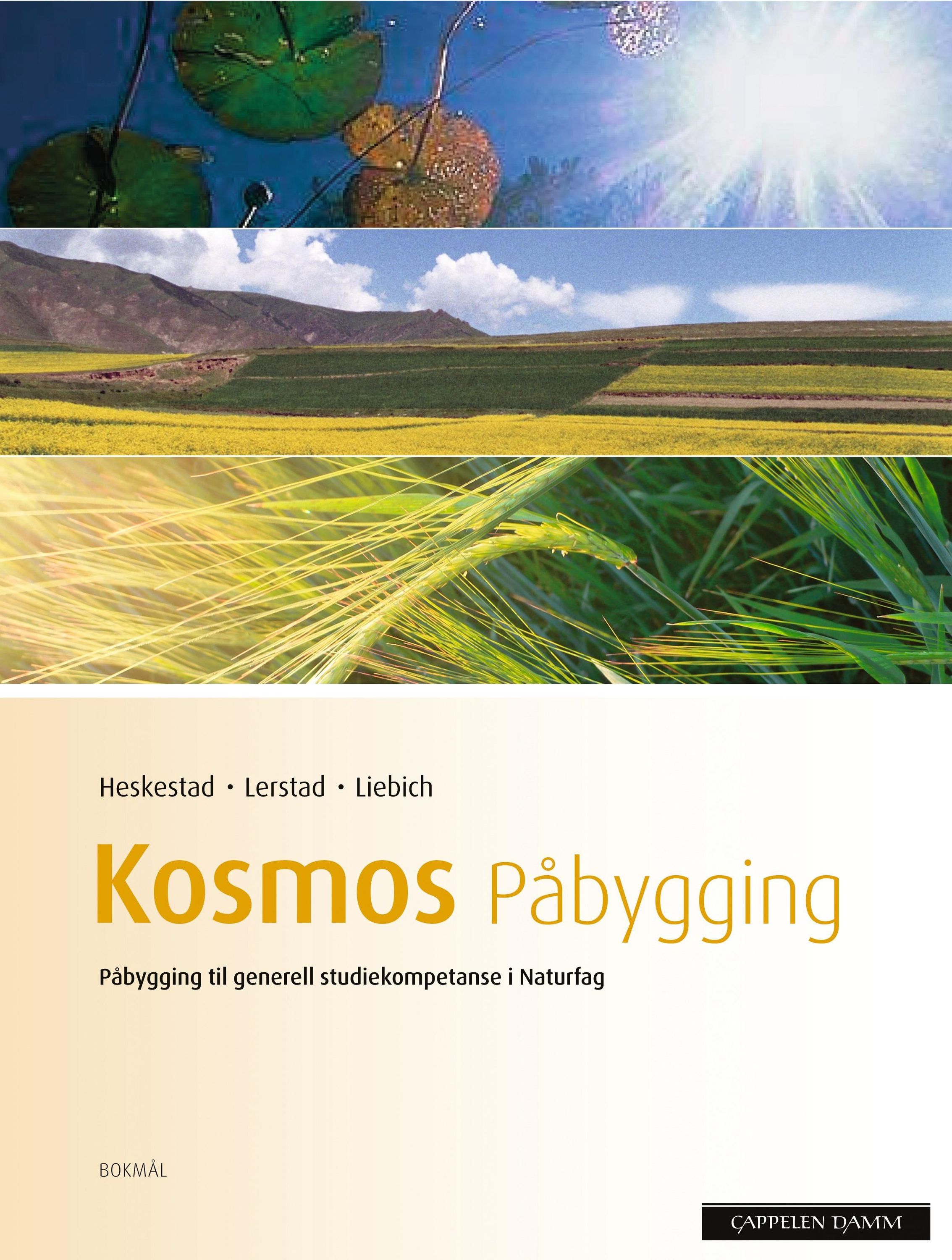 Kosmos påbygging : påbygging til generell studiekompetanse i naturfag