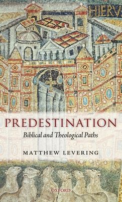 Predestination : Biblical and Theological Paths