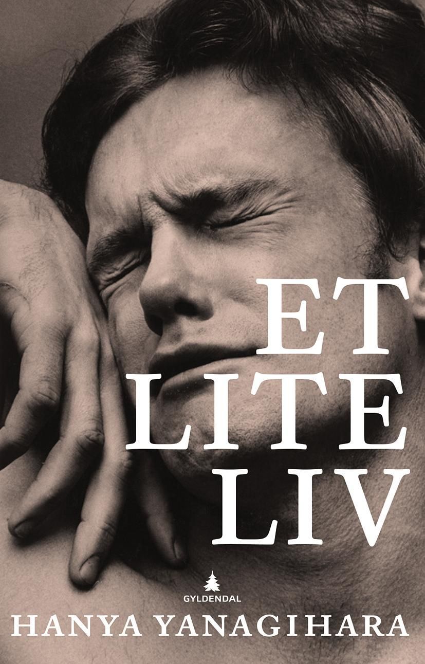 Et lite liv : roman