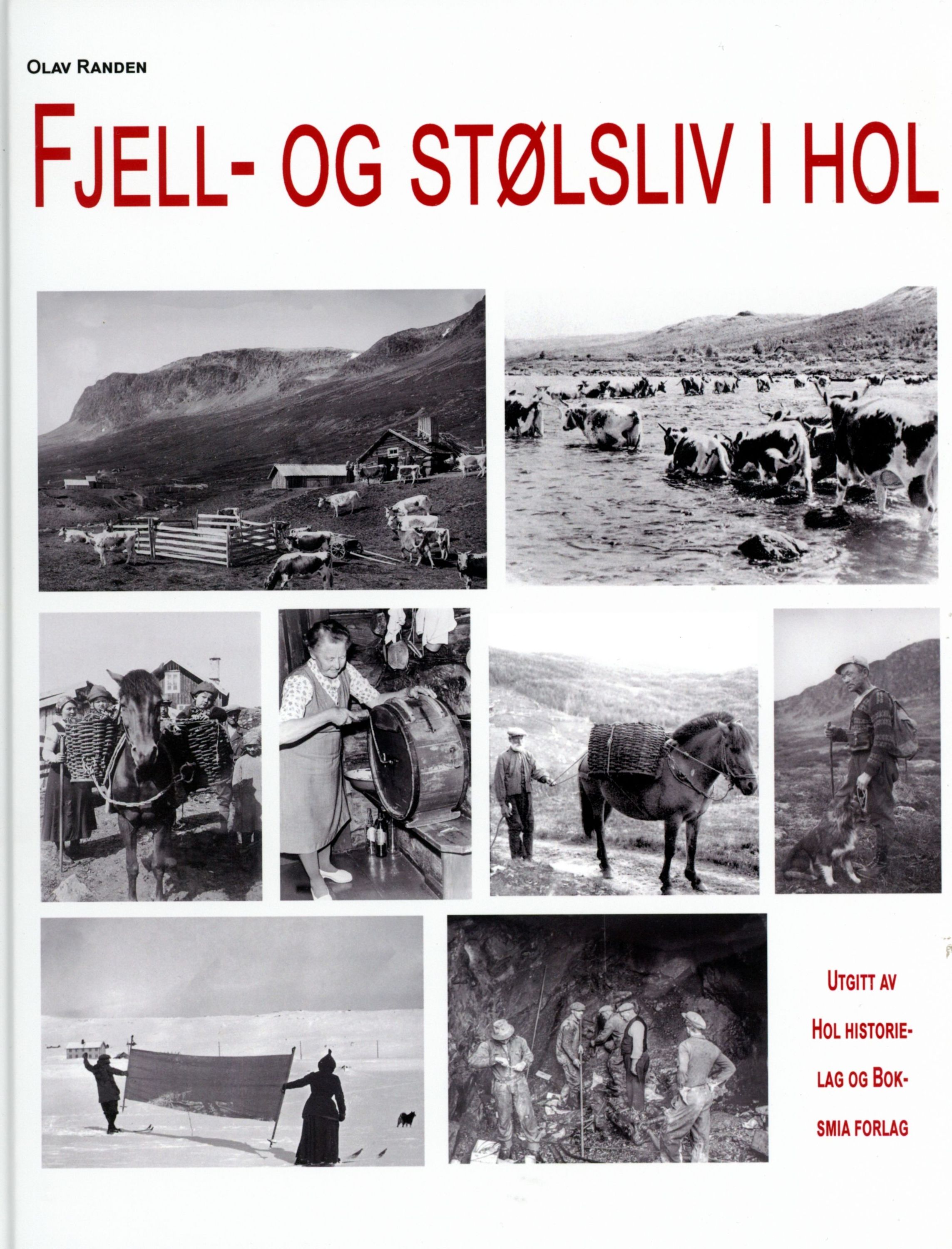 Forsidebilde av Fjell-og stølsliv i Hol