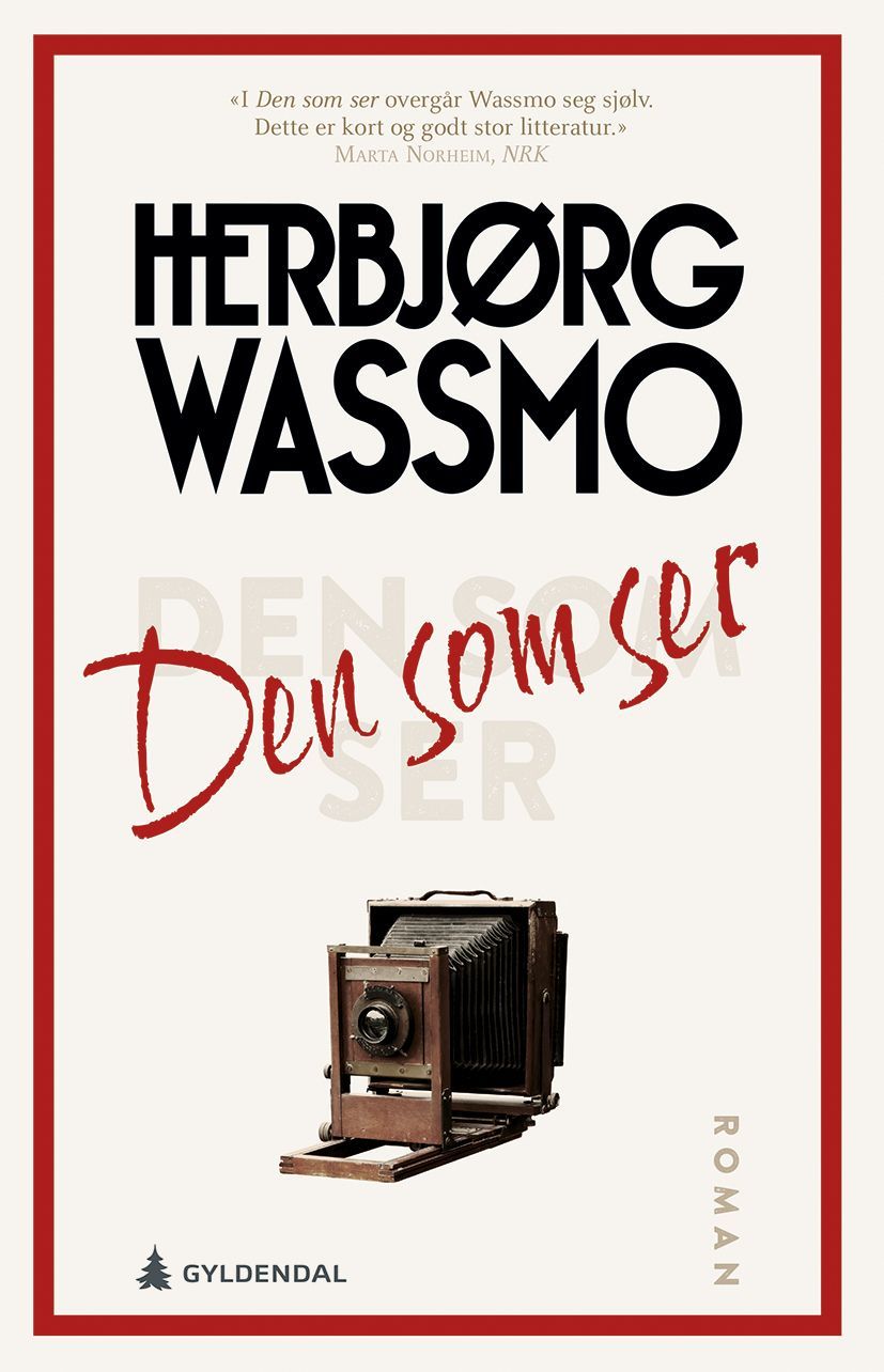 Den som ser : roman