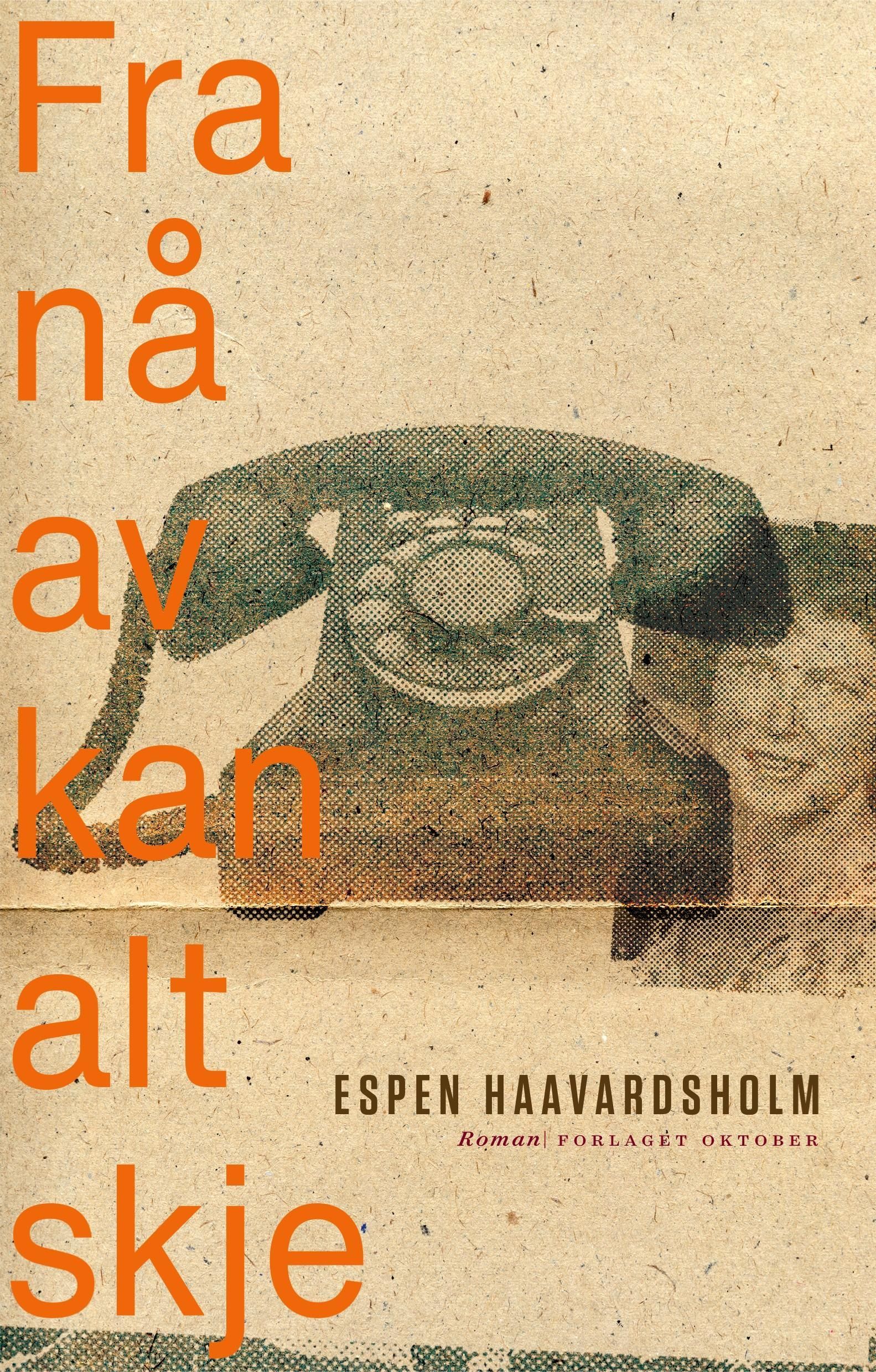Fra nå av kan alt skje : roman