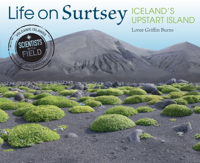Life on Surtsey : Iceland's Upstart Island