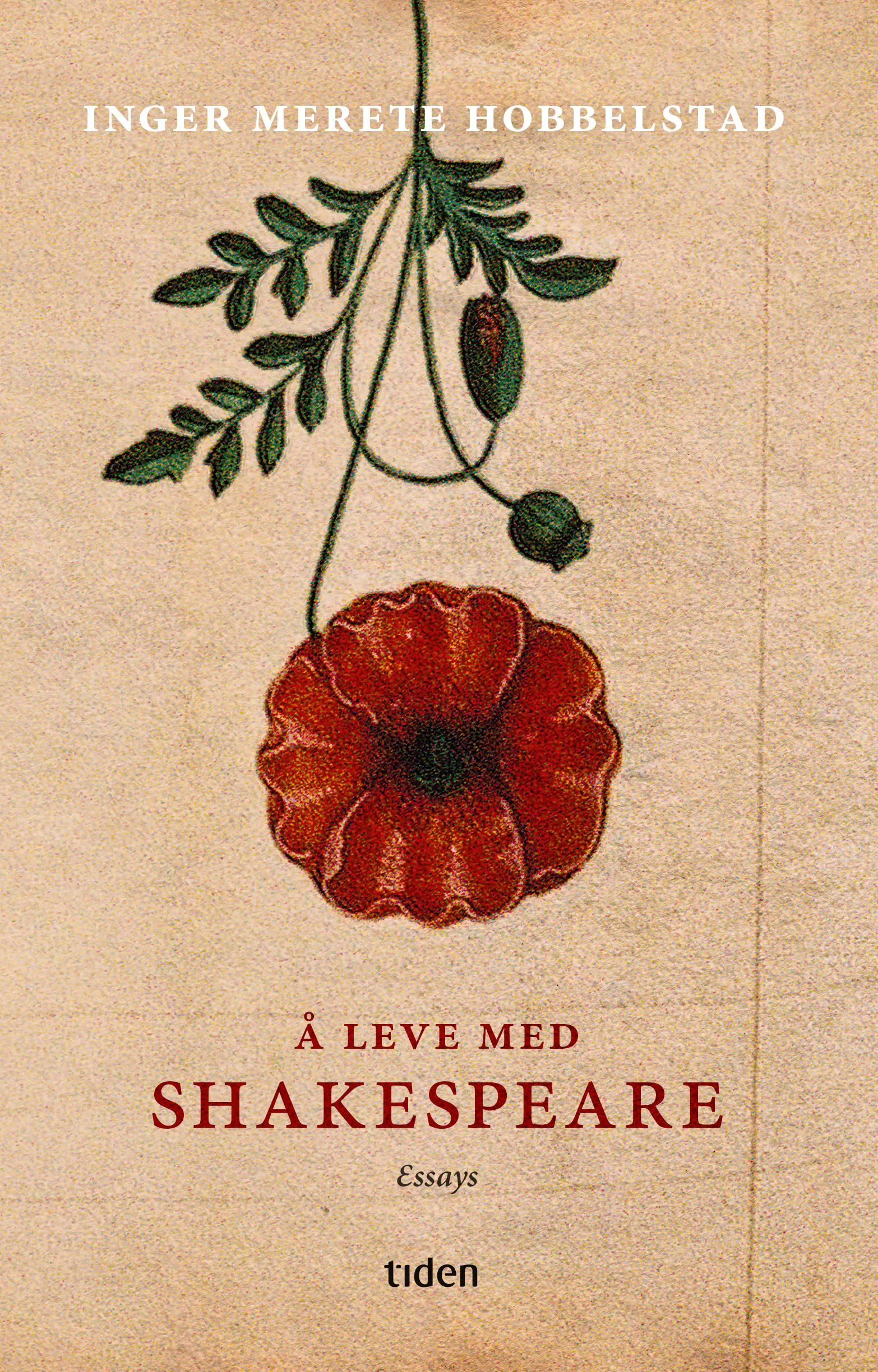 Å leve med Shakespeare : essays
