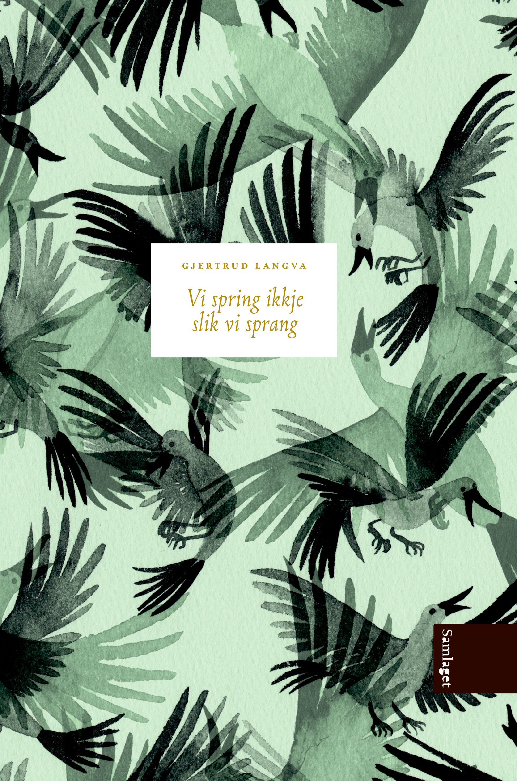 Vi spring ikkje slik vi sprang : roman