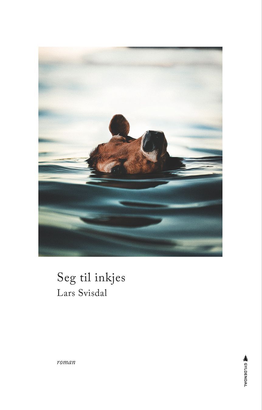 Seg til inkjes : roman