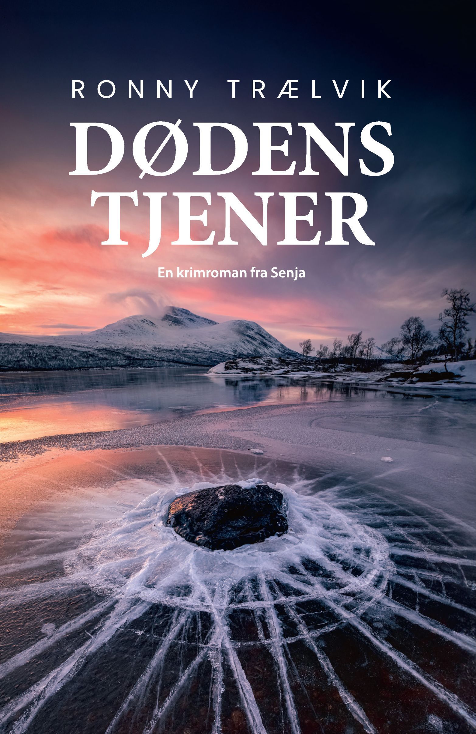 Dødens tjener : en krimroman fra Senja