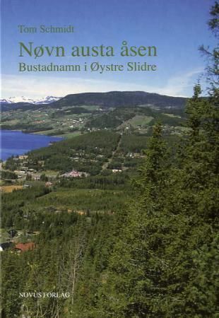 Nøvn austa åsen : bustadnamn i Øystre Slidre