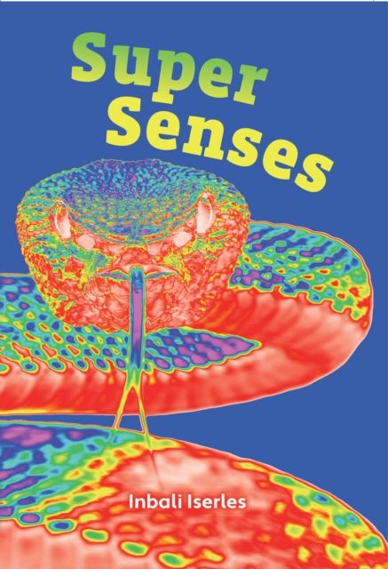 Super Senses : Fluency 5