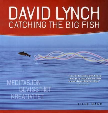 Catching the big fish : meditasjon, bevissthet og kreativitet