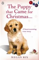 The puppy that came for Christmas - and stayed forever