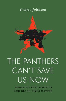 The Panthers Can't Save Us Now : Debating Left Politics and Black Lives Matter