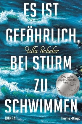 Es ist gefährlich, bei Sturm zu schwimmen : Roman