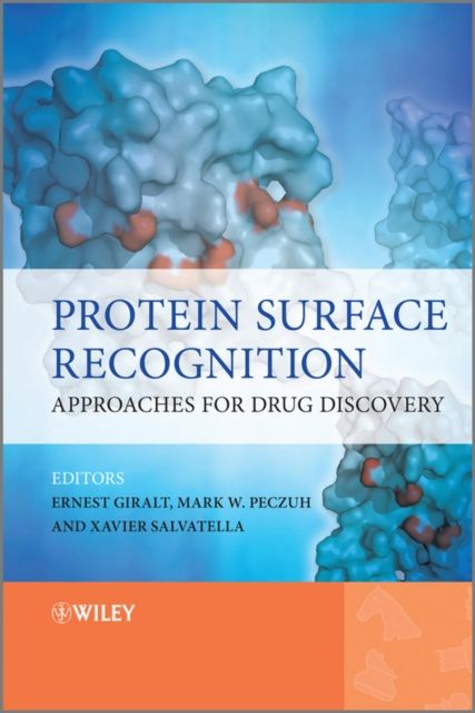 Protein Surface Recognition : Approaches for Drug Discovery