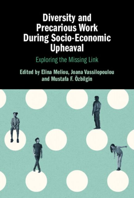 Diversity and Precarious Work During Socio-Economic Upheaval : Exploring the Missing Link
