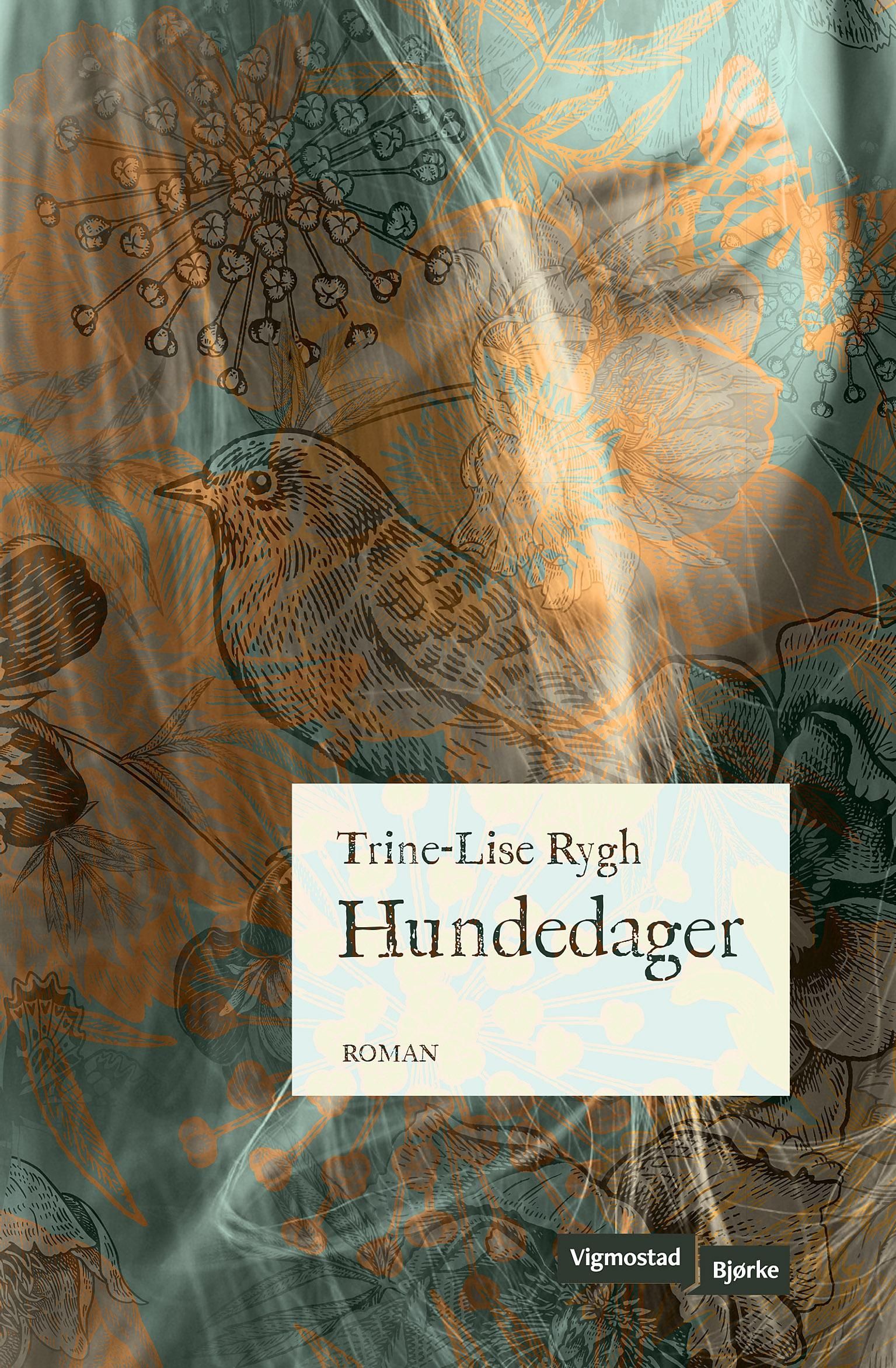 Hundedager : roman