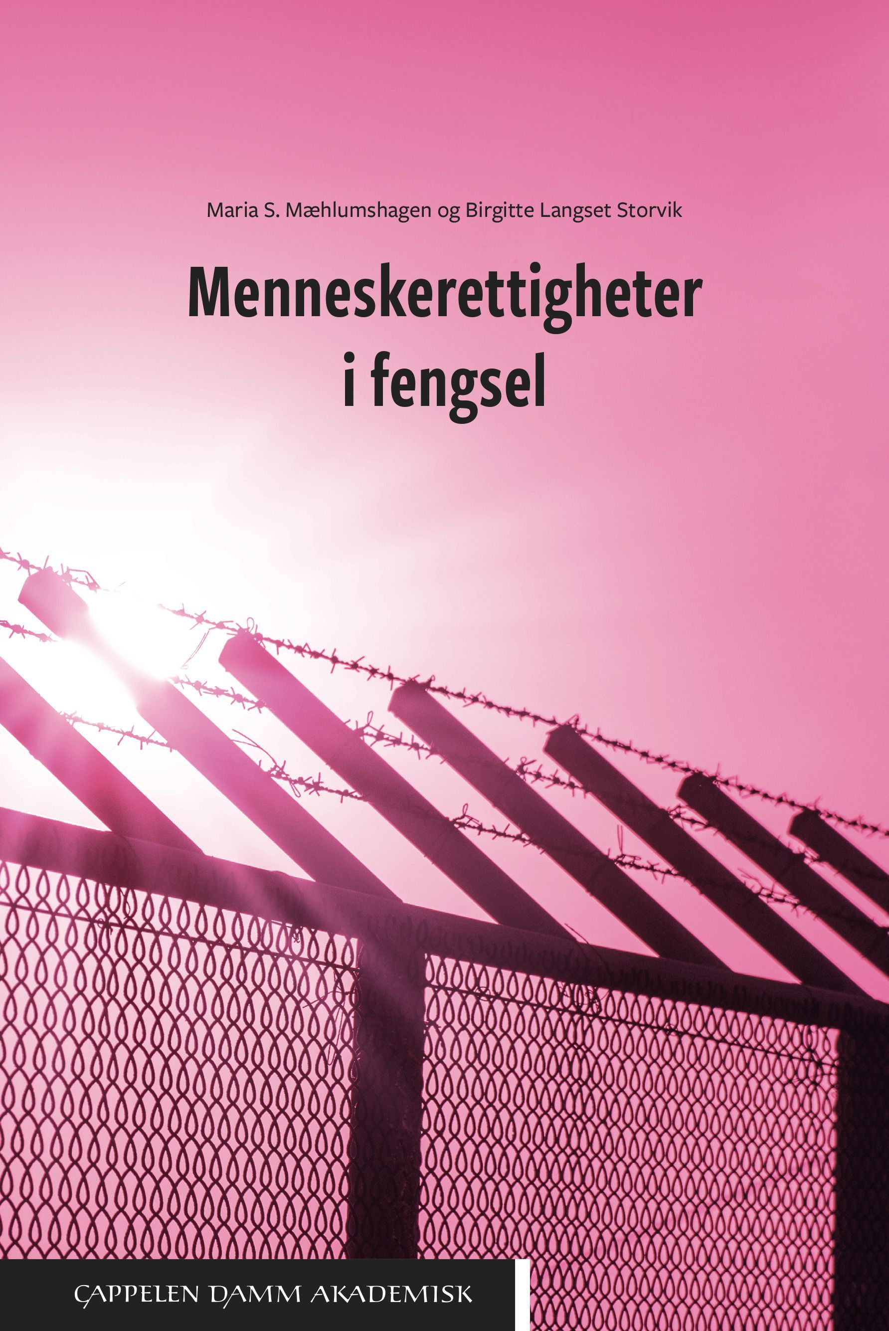 Forsidebilde av Menneskerettigheter i fengsel