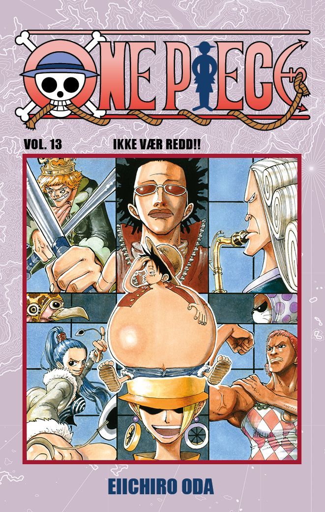 One piece 13