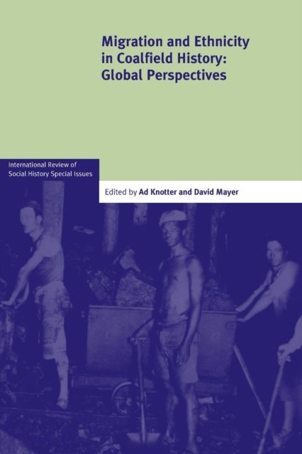 Migration and Ethnicity in Coalfield History : Global Perspectives