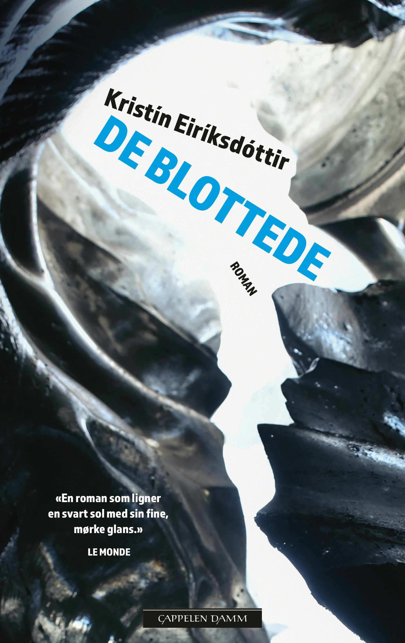 Omslagsbilde