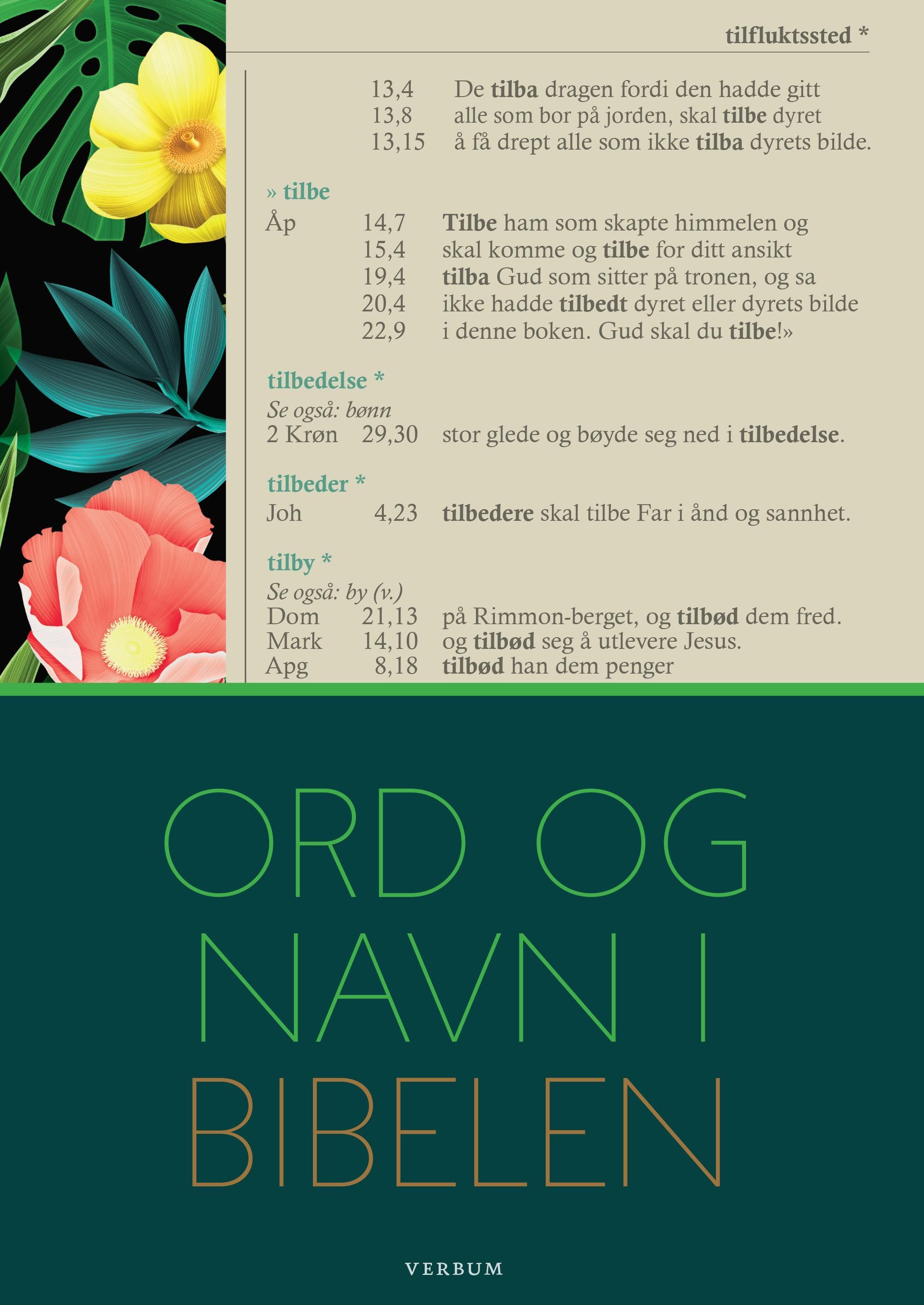 Forsidebilde av Ord og navn i Bibelen