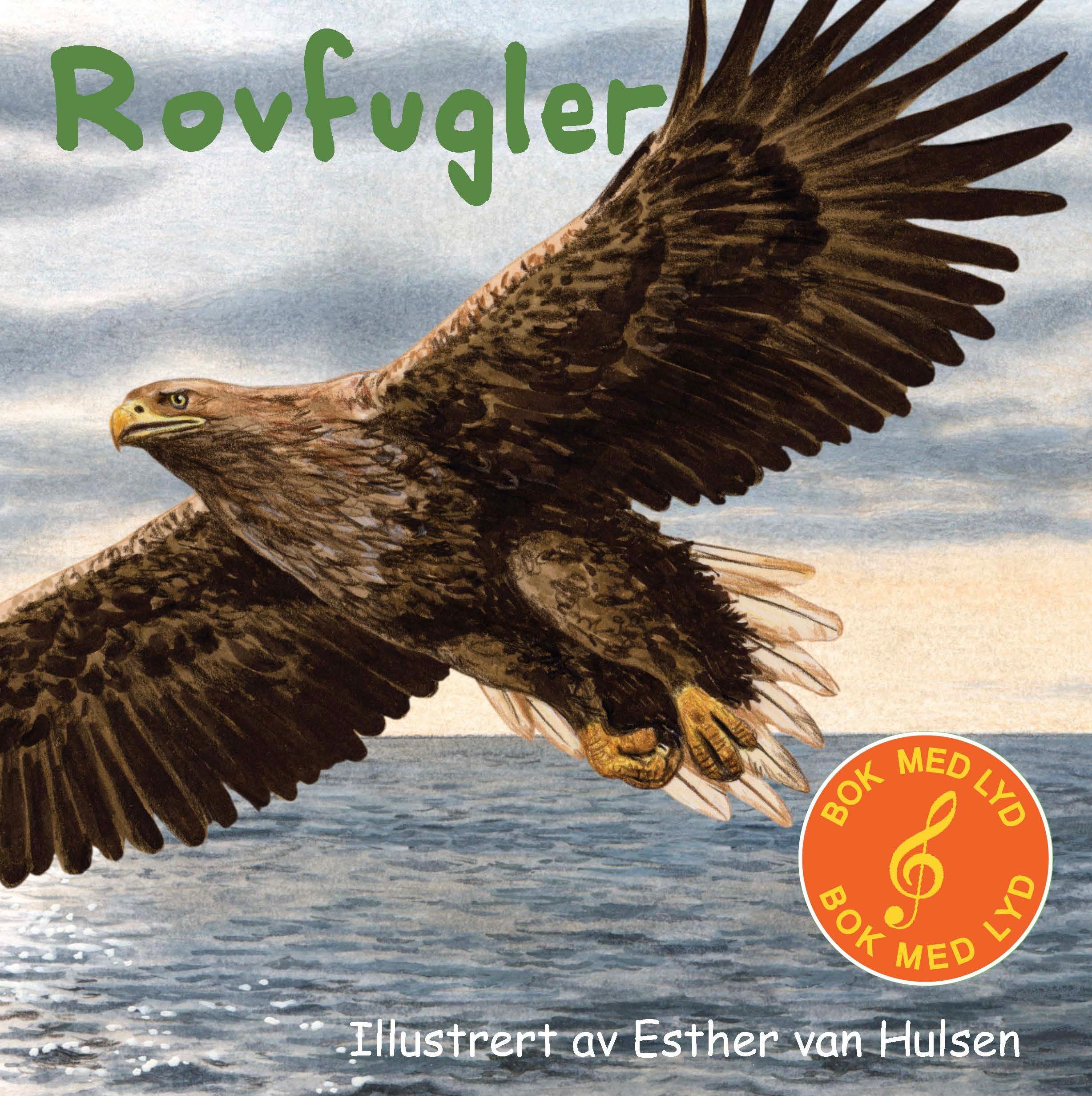 Omslagsbilde