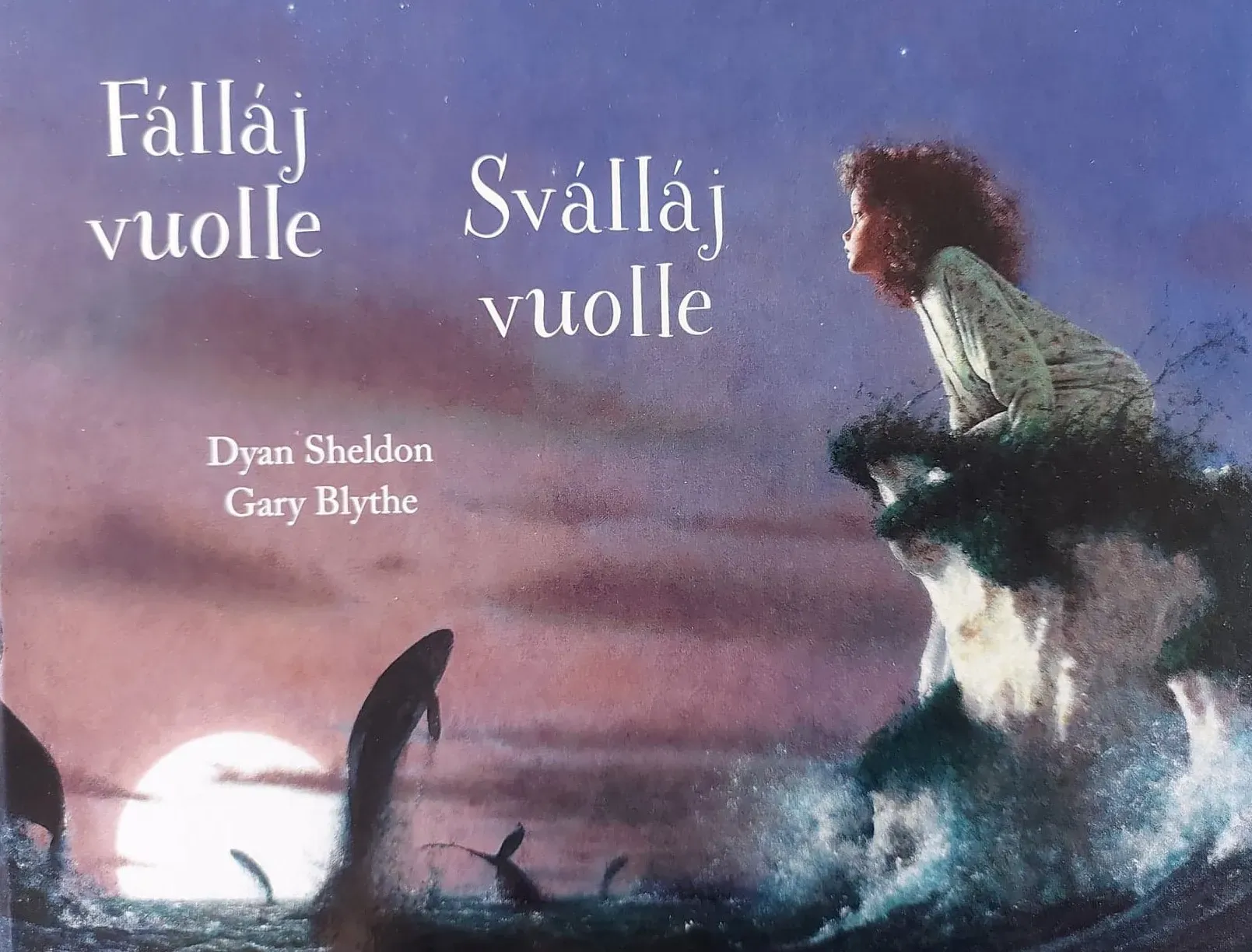 Forsidebilde av Fálláj vuolle