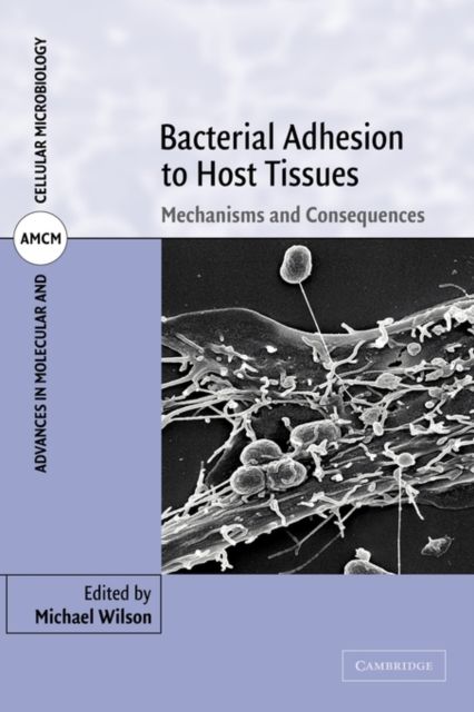 Bacterial Adhesion to Host Tissues : Mechanisms and Consequences