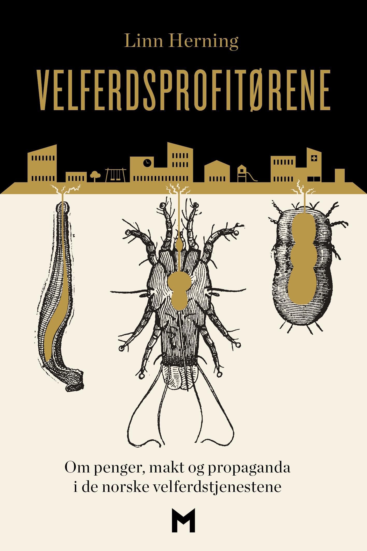 Velferdsprofitørene : om penger, makt og propaganda i de norske velferdstjenestene