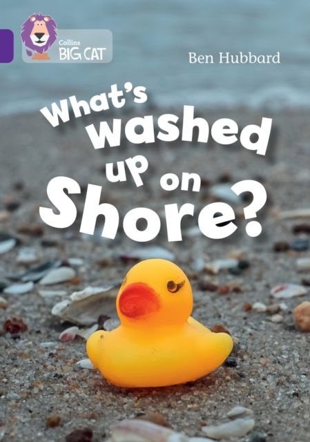 What's washed up on shore? : Band 08/Purple