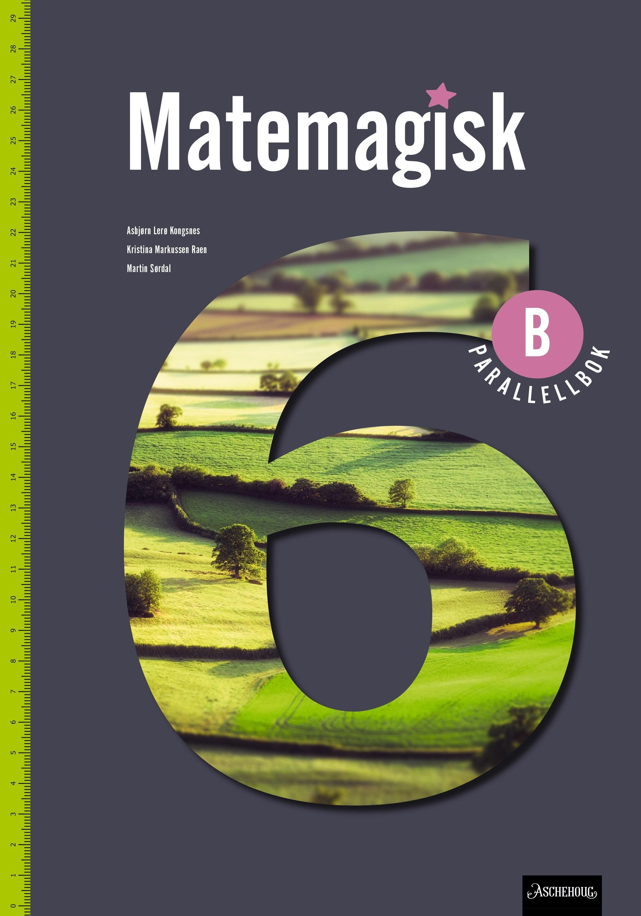 Matemagisk 6B. Parallellbok