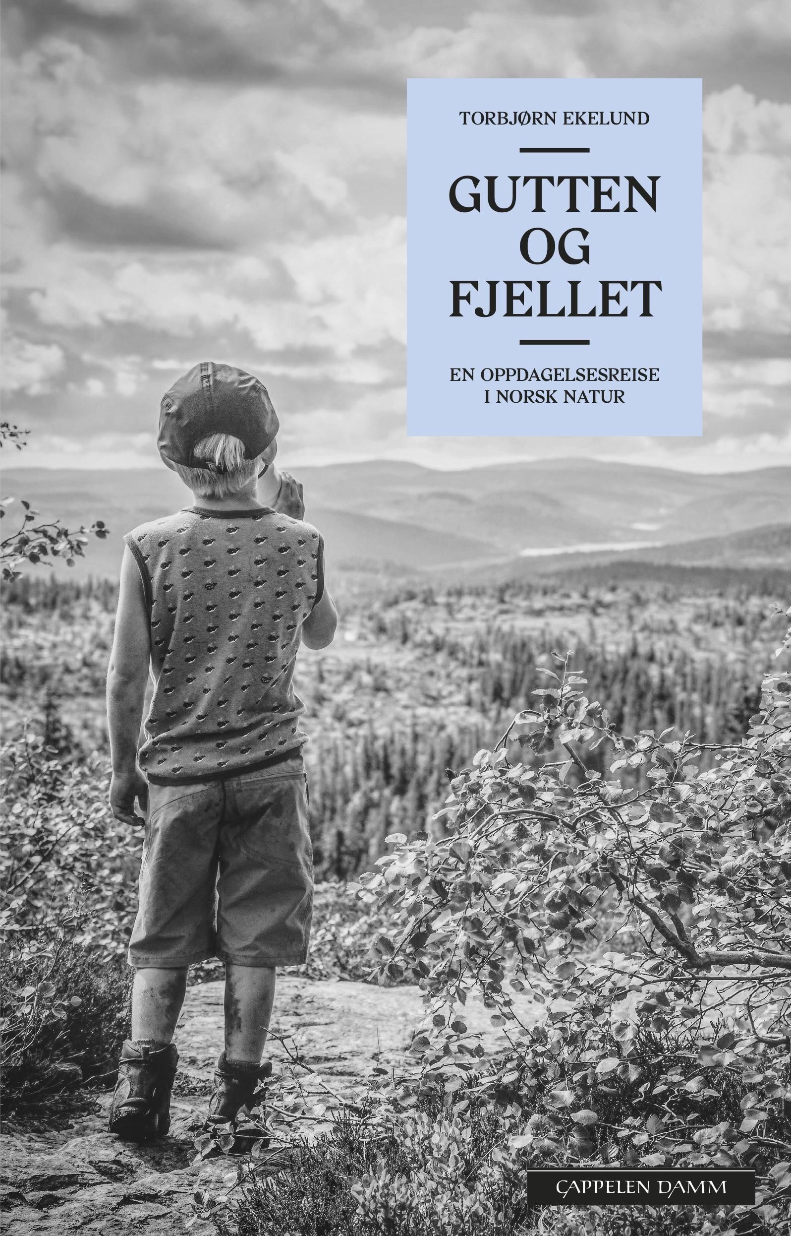 Gutten og fjellet : en oppdagelsesreise i norsk natur