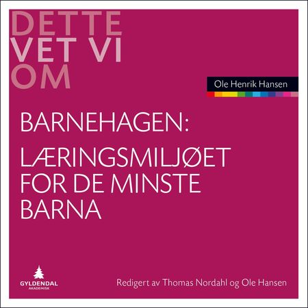 Dette vet vi om barnehagen