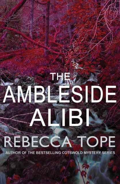 Forsidebilde av The Ambleside Alibi : The gripping English cosy crime series