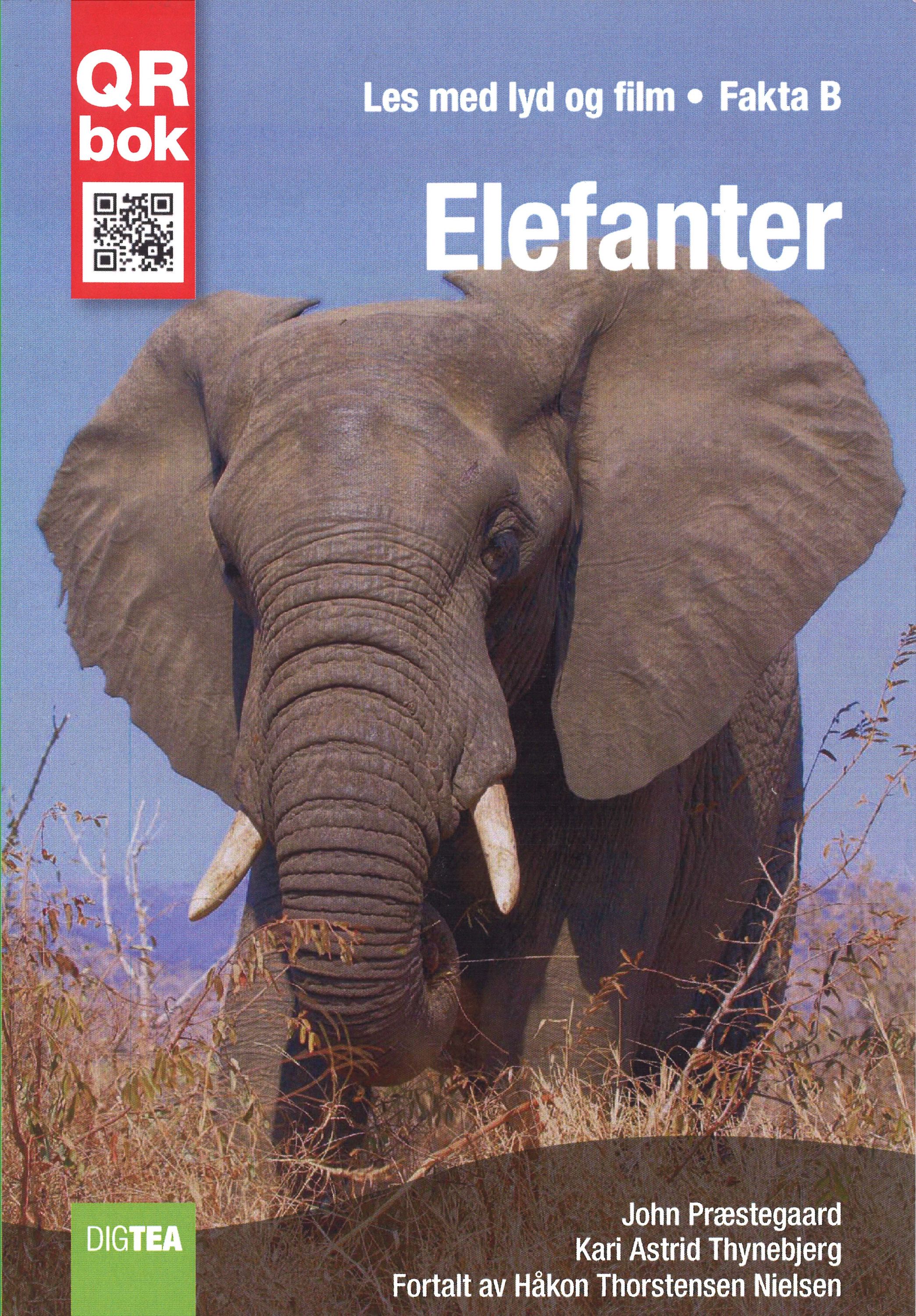 Elefanter