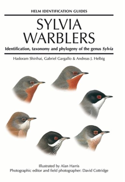 Sylvia Warblers : Identification, taxonomy and phylogeny of the genus Sylvia