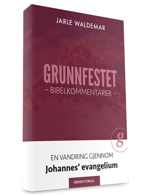 Grunnfestet : bibelkommentarer : en vandring gjennom Johannes' evangelium