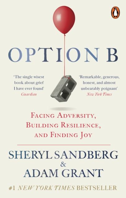 Option B : facing adversity, building resilience, and finding joy