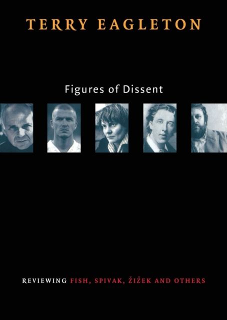 Figures of Dissent : Reviewing Fish, Spivak, Zizek, and Others
