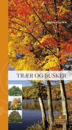 Trær og busker