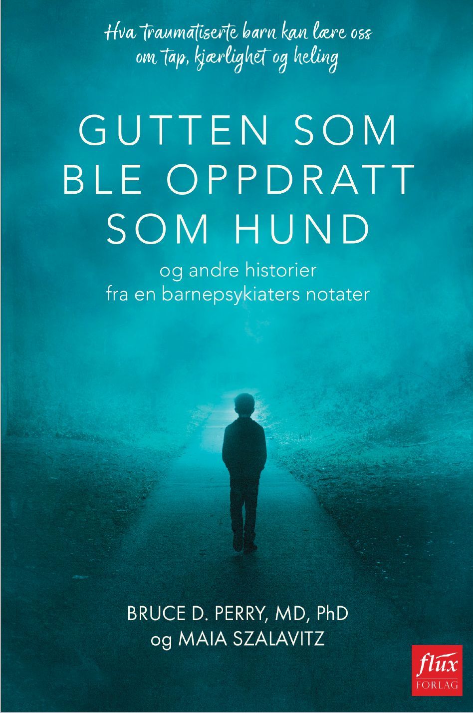 Gutten som ble oppdratt som hund : og andre historier fra en barnepsykiaters notater . hva traumatiserte barn kan lære oss om tap, kjærlighet og heling