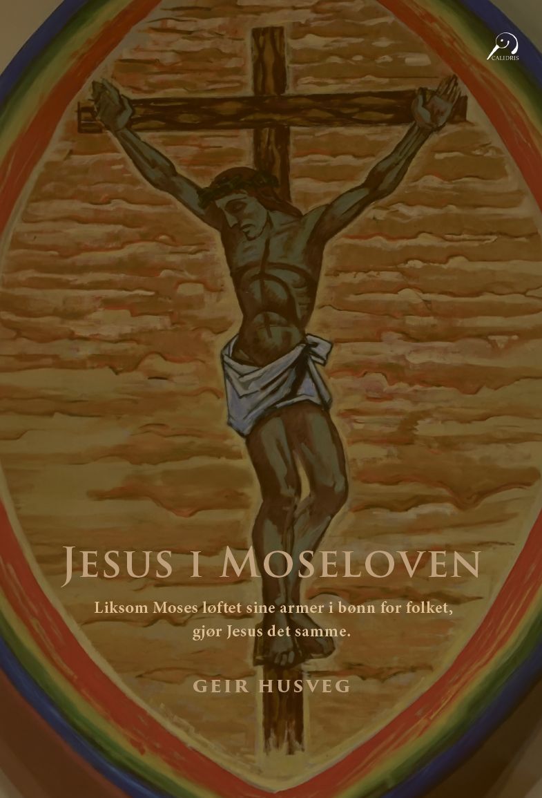 Forsidebilde av Jesus i Moseloven