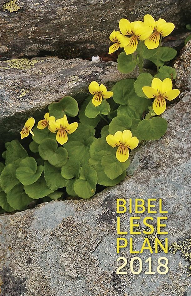 Bibelleseplan 2018