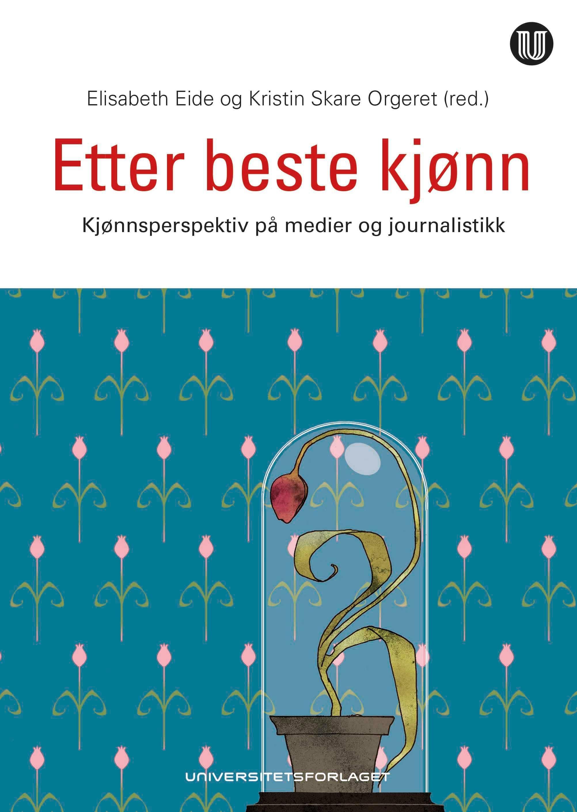 Etter beste kjønn : kjønnsperspektiv på medier og journalistikk
