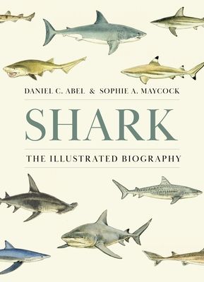 Shark : The Illustrated Biography