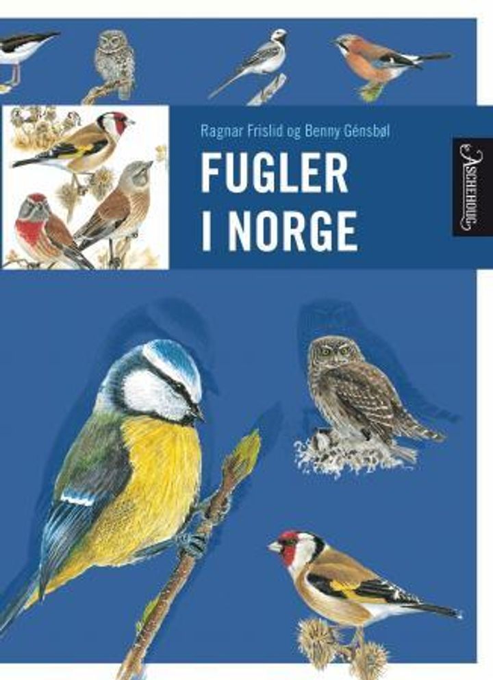 Fugler i Norge