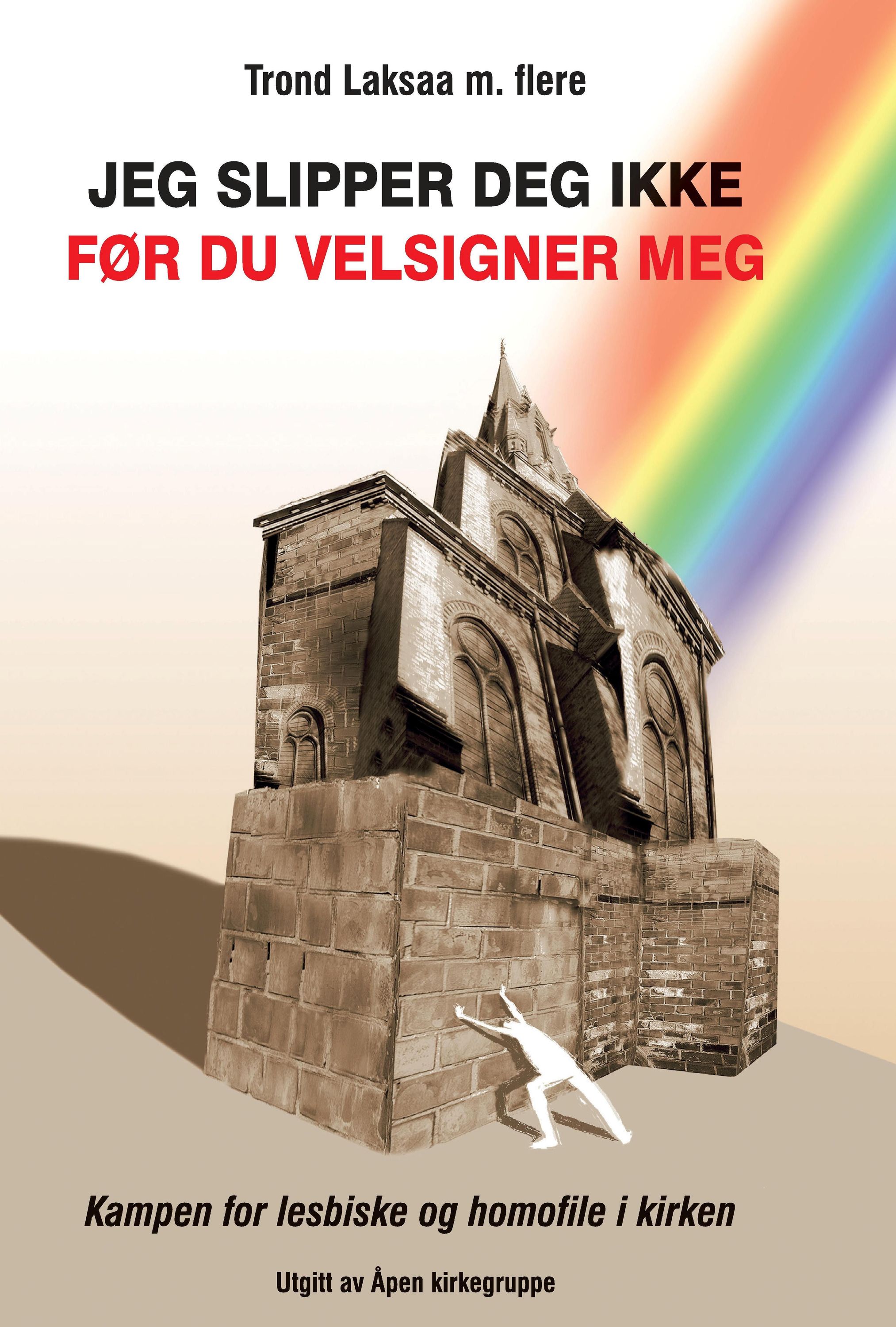 Jeg slipper deg ikke før du velsigner meg : historien om Åpen kirkegruppe og kampen for lesbiske og homofile i kirken