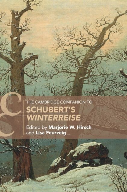 The Cambridge Companion to Schubert's ‘Winterreise'