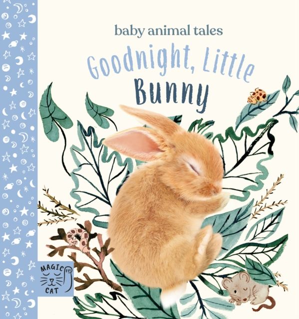Goodnight, Little Bunny : A book about being brave